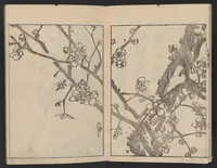 An illustration from Bunpō gafu (1813)