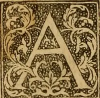 Picture 2 of 223 from The Byble : that is to saye, all the holye Scripture, in whiche are contayned the olde and new Testament : truly and purely translated into Englishe : & now lately with great industry & diligence recognysed .. (1551), leaf 17