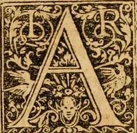 Picture 40 of 223 from The Byble : that is to saye, all the holye Scripture, in whiche are contayned the olde and new Testament : truly and purely translated into Englishe : & now lately with great industry & diligence recognysed .. (1551), leaf 358
