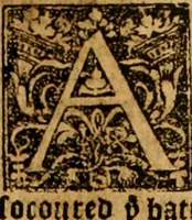 Picture 53 of 223 from The Byble : that is to saye, all the holye Scripture, in whiche are contayned the olde and new Testament : truly and purely translated into Englishe : & now lately with great industry & diligence recognysed .. (1551), leaf 461