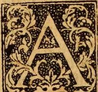An illustration from The Byble : that is to saye, all the holye Scripture, in whiche are contayned the olde and new Testament : truly and purely translated into Englishe : & now lately with great industry & diligence recognysed .. (1551)