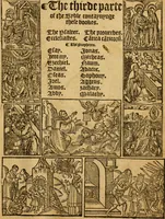 Picture 99 of 223 from The Byble : that is to saye, all the holye Scripture, in whiche are contayned the olde and new Testament : truly and purely translated into Englishe : & now lately with great industry & diligence recognysed .. (1551), leaf 576