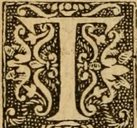 Picture 57 of 172 from The Byble : that is to saye, all the holye Scripture, in whiche are contayned the olde and new Testament : truly and purely translated into Englishe : & now lately with great industry & diligence recognysed .. (1551), leaf 119
