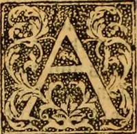 Picture 66 of 172 from The Byble : that is to saye, all the holye Scripture, in whiche are contayned the olde and new Testament : truly and purely translated into Englishe : & now lately with great industry & diligence recognysed .. (1551), leaf 144