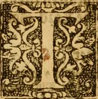 Picture 10 of 172 from The Byble : that is to saye, all the holye Scripture, in whiche are contayned the olde and new Testament : truly and purely translated into Englishe : & now lately with great industry & diligence recognysed .. (1551), leaf 18