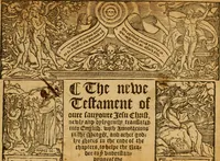 Picture 84 of 172 from The Byble : that is to saye, all the holye Scripture, in whiche are contayned the olde and new Testament : truly and purely translated into Englishe : & now lately with great industry & diligence recognysed .. (1551), leaf 208