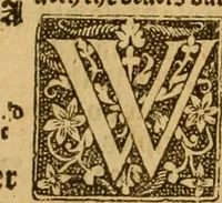 Picture 89 of 172 from The Byble : that is to saye, all the holye Scripture, in whiche are contayned the olde and new Testament : truly and purely translated into Englishe : & now lately with great industry & diligence recognysed .. (1551), leaf 222