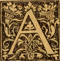 Picture 15 of 172 from The Byble : that is to saye, all the holye Scripture, in whiche are contayned the olde and new Testament : truly and purely translated into Englishe : & now lately with great industry & diligence recognysed .. (1551), leaf 28