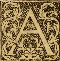 Picture 110 of 172 from The Byble : that is to saye, all the holye Scripture, in whiche are contayned the olde and new Testament : truly and purely translated into Englishe : & now lately with great industry & diligence recognysed .. (1551), leaf 300