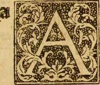 Picture 115 of 172 from The Byble : that is to saye, all the holye Scripture, in whiche are contayned the olde and new Testament : truly and purely translated into Englishe : & now lately with great industry & diligence recognysed .. (1551), leaf 316