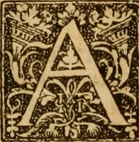 Picture 116 of 172 from The Byble : that is to saye, all the holye Scripture, in whiche are contayned the olde and new Testament : truly and purely translated into Englishe : & now lately with great industry & diligence recognysed .. (1551), leaf 317