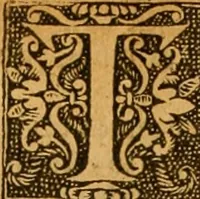 Picture 124 of 172 from The Byble : that is to saye, all the holye Scripture, in whiche are contayned the olde and new Testament : truly and purely translated into Englishe : & now lately with great industry & diligence recognysed .. (1551), leaf 344