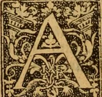 Picture 126 of 172 from The Byble : that is to saye, all the holye Scripture, in whiche are contayned the olde and new Testament : truly and purely translated into Englishe : & now lately with great industry & diligence recognysed .. (1551), leaf 347