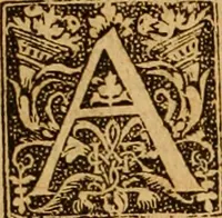 Picture 146 of 172 from The Byble : that is to saye, all the holye Scripture, in whiche are contayned the olde and new Testament : truly and purely translated into Englishe : & now lately with great industry & diligence recognysed .. (1551), leaf 404