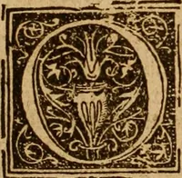 Picture 150 of 172 from The Byble : that is to saye, all the holye Scripture, in whiche are contayned the olde and new Testament : truly and purely translated into Englishe : & now lately with great industry & diligence recognysed .. (1551), leaf 411