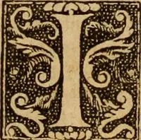 Picture 156 of 172 from The Byble : that is to saye, all the holye Scripture, in whiche are contayned the olde and new Testament : truly and purely translated into Englishe : & now lately with great industry & diligence recognysed .. (1551), leaf 429