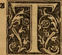 Picture 166 of 172 from The Byble : that is to saye, all the holye Scripture, in whiche are contayned the olde and new Testament : truly and purely translated into Englishe : & now lately with great industry & diligence recognysed .. (1551), leaf 463