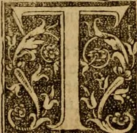 Picture 172 of 172 from The Byble : that is to saye, all the holye Scripture, in whiche are contayned the olde and new Testament : truly and purely translated into Englishe : & now lately with great industry & diligence recognysed .. (1551), leaf 485
