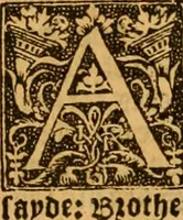 Picture 27 of 172 from The Byble : that is to saye, all the holye Scripture, in whiche are contayned the olde and new Testament : truly and purely translated into Englishe : & now lately with great industry & diligence recognysed .. (1551), leaf 58