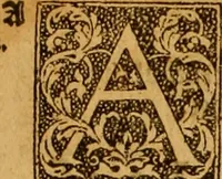 Picture 39 of 172 from The Byble : that is to saye, all the holye Scripture, in whiche are contayned the olde and new Testament : truly and purely translated into Englishe : & now lately with great industry & diligence recognysed .. (1551), leaf 78