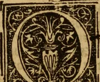 Picture 44 of 172 from The Byble : that is to saye, all the holye Scripture, in whiche are contayned the olde and new Testament : truly and purely translated into Englishe : & now lately with great industry & diligence recognysed .. (1551), leaf 85