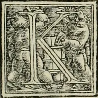 An illustration from Byzantinae historiae Libri XI : quibus res a Graecis Imperatorib. per annos CXLV a Theodoro Lascari priore usque ad Andronici Palaeologi posterioris obitum gestae describuntur... (1562)