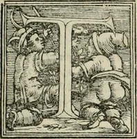 An illustration from Byzantinae historiae Libri XI : quibus res a Graecis Imperatorib. per annos CXLV a Theodoro Lascari priore usque ad Andronici Palaeologi posterioris obitum gestae describuntur... (1562)