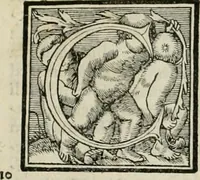 Picture 4 of 31 from Byzantinae historiae Libri XI : quibus res a Graecis Imperatorib. per annos CXLV a Theodoro Lascari priore usque ad Andronici Palaeologi posterioris obitum gestae describuntur... (1562), leaf 16
