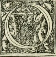 Picture 19 of 31 from Byzantinae historiae Libri XI : quibus res a Graecis Imperatorib. per annos CXLV a Theodoro Lascari priore usque ad Andronici Palaeologi posterioris obitum gestae describuntur... (1562), leaf 191