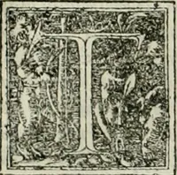 Picture 20 of 31 from Byzantinae historiae Libri XI : quibus res a Graecis Imperatorib. per annos CXLV a Theodoro Lascari priore usque ad Andronici Palaeologi posterioris obitum gestae describuntur... (1562), leaf 226