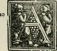 An illustration from Byzantinae historiae Libri XI : quibus res a Graecis Imperatorib. per annos CXLV a Theodoro Lascari priore usque ad Andronici Palaeologi posterioris obitum gestae describuntur... (1562)