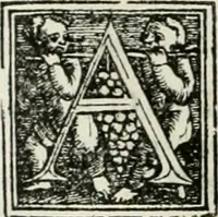 An illustration from Byzantinae historiae Libri XI : quibus res a Graecis Imperatorib. per annos CXLV a Theodoro Lascari priore usque ad Andronici Palaeologi posterioris obitum gestae describuntur... (1562)