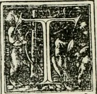 An illustration from Byzantinae historiae Libri XI : quibus res a Graecis Imperatorib. per annos CXLV a Theodoro Lascari priore usque ad Andronici Palaeologi posterioris obitum gestae describuntur... (1562)