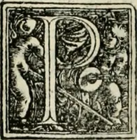 An illustration from Byzantinae historiae Libri XI : quibus res a Graecis Imperatorib. per annos CXLV a Theodoro Lascari priore usque ad Andronici Palaeologi posterioris obitum gestae describuntur... (1562)
