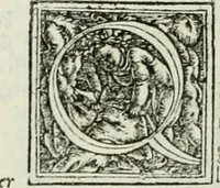 An illustration from Byzantinae historiae Libri XI : quibus res a Graecis Imperatorib. per annos CXLV a Theodoro Lascari priore usque ad Andronici Palaeologi posterioris obitum gestae describuntur... (1562)