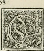 An illustration from Byzantinae historiae Libri XI : quibus res a Graecis Imperatorib. per annos CXLV a Theodoro Lascari priore usque ad Andronici Palaeologi posterioris obitum gestae describuntur... (1562)