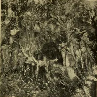 An illustration from Byzantine art and archaeology (1911)