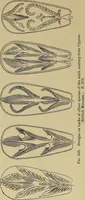 An illustration from Byzantine art and archaeology (1911)