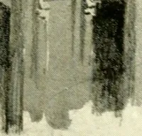 Picture 150 of 180 from Byzantine and Romanesque architecture (1913), leaf 378