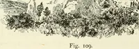 Picture 103 of 193 from Byzantine and Romanesque architecture (1913), leaf 233
