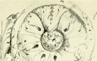 An illustration from Byzantine and Romanesque architecture (1913)