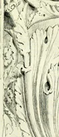 An illustration from Byzantine and Romanesque architecture (1913)