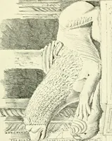 An illustration from Byzantine and Romanesque architecture (1913)