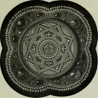 An illustration from Die byzantinischen Zellenschmelze der Sammlung Dr. Alex. von Swenigorodskoï und das darüber veröffentlichte Prachtwerk : archäologisch-kunstgeschichtliche Studie (1896)