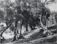 An illustration from Art and Archaeology Volume II July-December 1915 (1915)