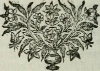 An illustration from Histoire des plantes qui naissent aux environs de Paris, avec leur usage dans la medecine (1698)