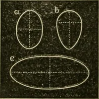 Picture 45 of 154 from Teachers' manual for freehand drawing in Intermediate schools : intended to accompany the drawing-books for intermediate schools (1878), leaf 119