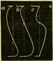 An illustration from Teachers' manual for freehand drawing in Intermediate schools : intended to accompany the drawing-books for intermediate schools (1878)