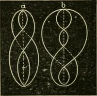 Picture 71 of 154 from Teachers' manual for freehand drawing in Intermediate schools : intended to accompany the drawing-books for intermediate schools (1878), leaf 147