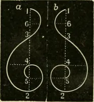 Picture 73 of 154 from Teachers' manual for freehand drawing in Intermediate schools : intended to accompany the drawing-books for intermediate schools (1878), leaf 151